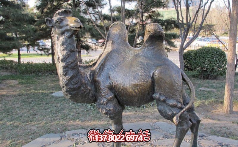 創(chuàng)意大型玻璃鋼駱駝雕塑，在草地上擺放，一眼回頭