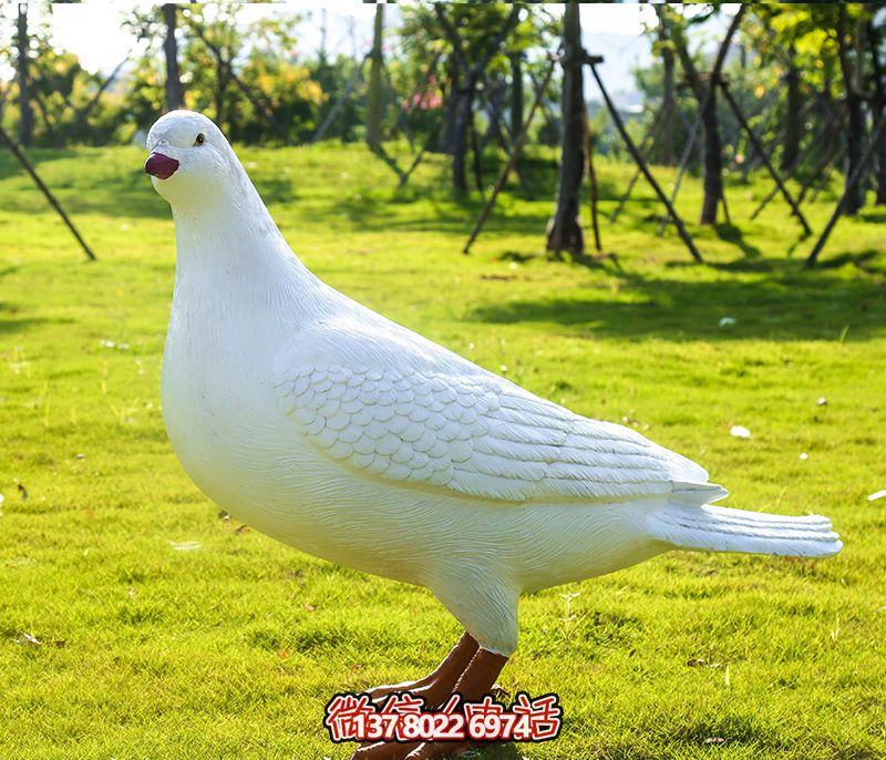 草坪公園仿真動物玻璃鋼鴿子雕塑 草坪公園仿真動物玻璃鋼鴿子雕塑